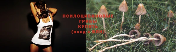прущие крисы Лиски