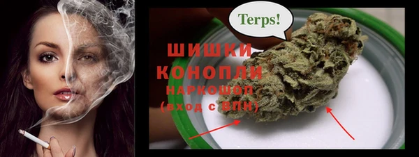 ECSTASY Липки