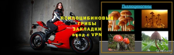 ECSTASY Липки