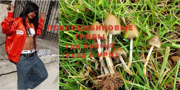 прущие крисы Лиски