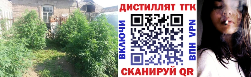 kraken   Череповец  ТГК вейп с тгк 