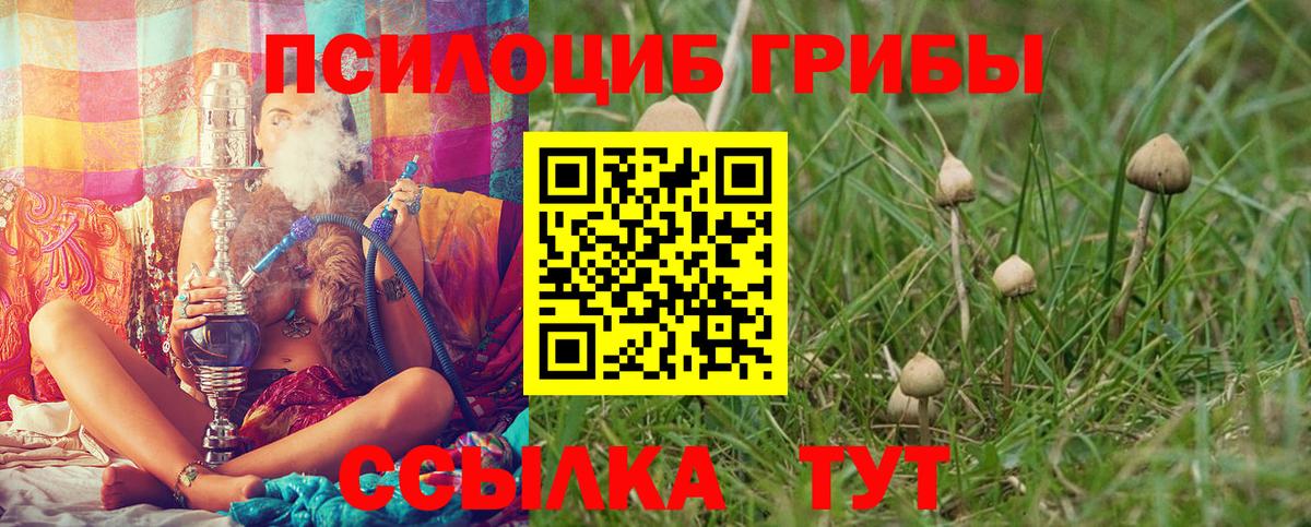 Псилоцибиновые грибы Psilocybe  Вход с VPN  Череповец  Псилоцибиновые грибы мухоморы 
