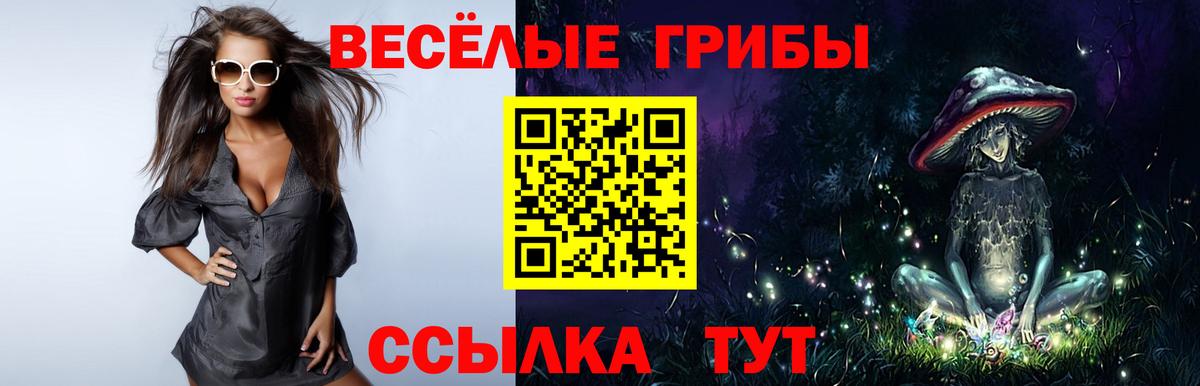 Галлюциногенные грибы Cubensis  Псилоцибиновые грибы Psilocybe  закладки  Череповец 